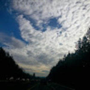 Meet your Posher, Leslie